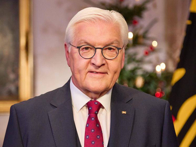 NNZ: президент Германии Штайнмайер призвал немцев к солидарности с Украиной