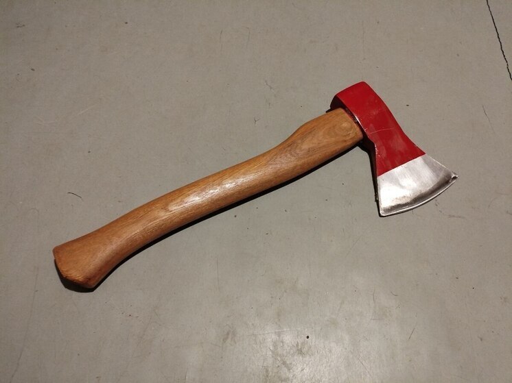 С калининградцев срубили 200 тысяч штрафа за сосну