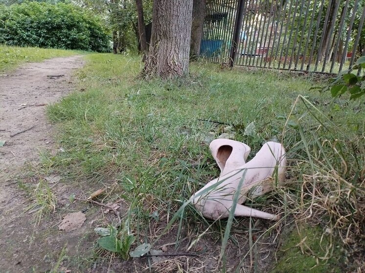 Пьяный калининградец надругался над своей 15-летней падчерицей