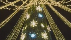 В Калмыкии отрепетировали включение елки 