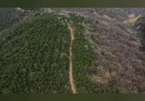 Китайские археологи раскрыли новые границы инженерного гения древности, обнаружив в провинции Шэньси прекрасно сохранившийся 13-километровый участок Императорской дороги Цинь