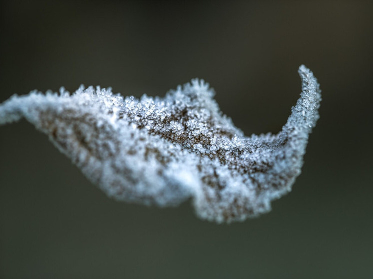 Метель и гололед прогнозируют в Херсонской области с 26 по 28 декабря