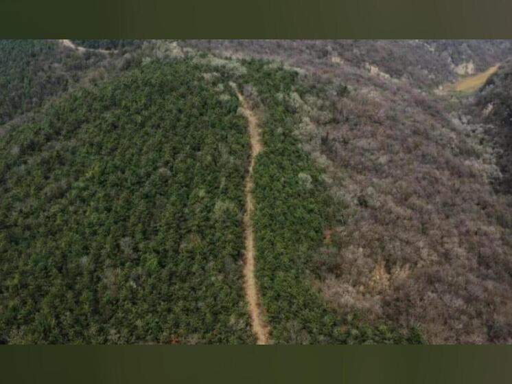В Китае нашли 13-километровый участок древней Императорской дороги Цинь