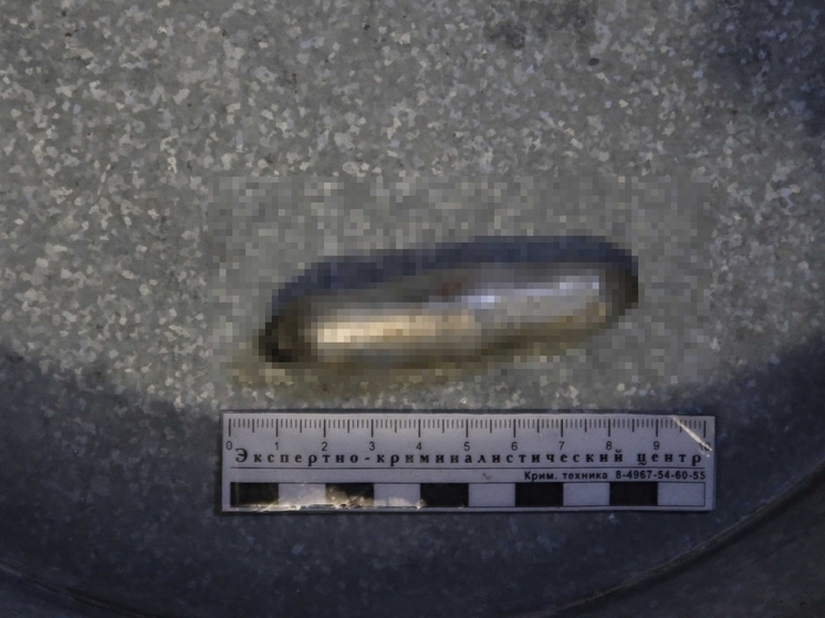 В Туве полицейскими  пресечена попытка незаконного проноса запрещенных веществ в ИВС