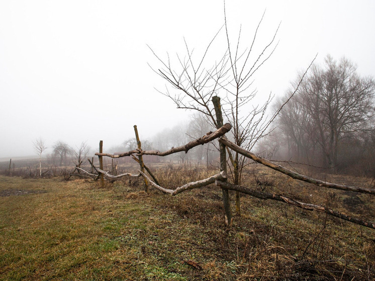 В Новосибирской области у фермеров изъяли три заброшенных сельхозучастка