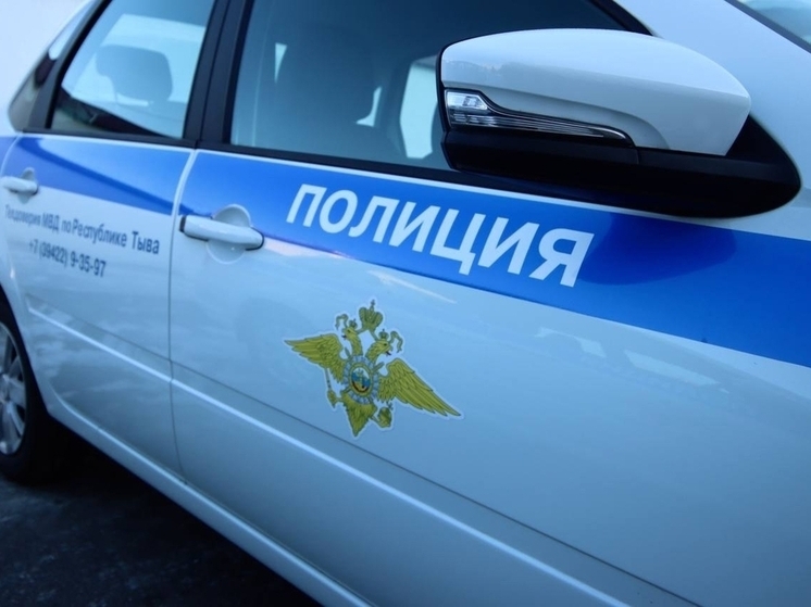  В Туве за 2025  год жертвами мошенников во время онлайн-игр стали 18 детей