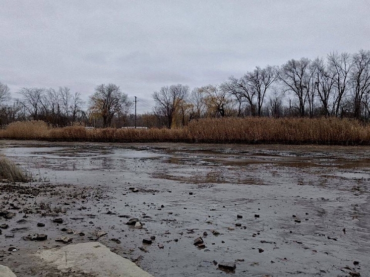 В результате сильного ветра река Азовка в городе Азов сильно обмелела