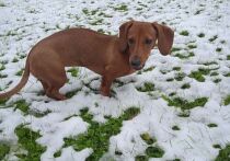 Традиционное деление года на четыре сезона &mdash; удобное упрощение, которое плохо описывает реальную картину природных циклов на нашей планете