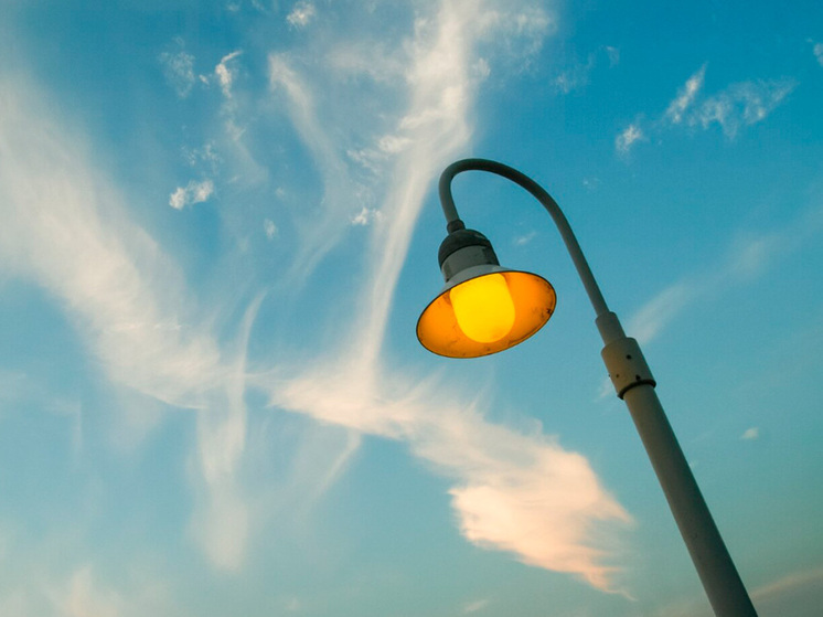 3700 старых деревьев и 2200 новых светильников: глава Липецка поднял вопрос о безопасности города