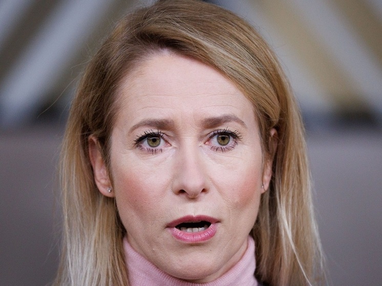 Каллас: решение США ограничить поездки европейцев оспаривает суверенитет ЕС