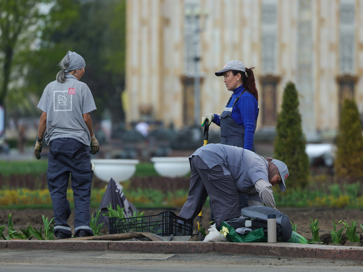 Мигранты несколько лет получали соцвыплаты для россиян, проживая в Таджикистане