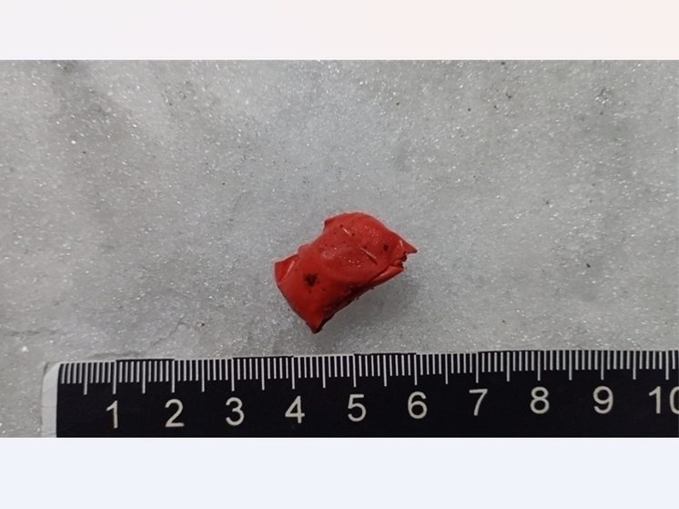 В Прикамье пресечена попытка сбыта наркотических средств