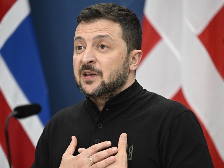 Эксперт Дудчак: мирный план Зеленского подразумевает выкачивание ресурсов из Украины на Запад