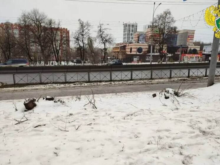 В Пензе возбуждено уголовное дело из-за незаконной вырубки деревьев