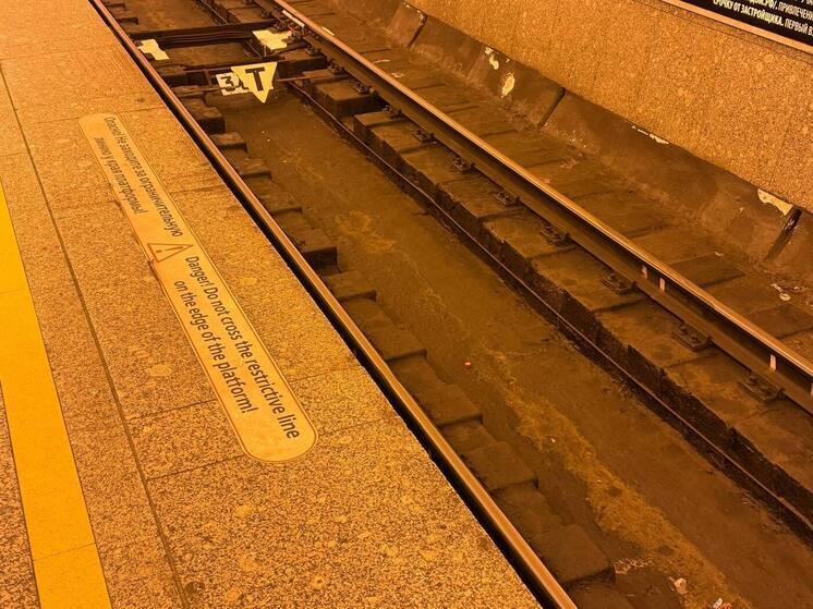 На станции метро «Удельная» пассажир упал на путь