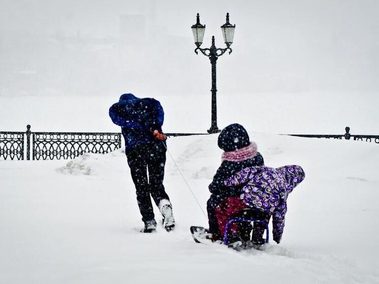 Детские пособия за декабрь придут на карту до новогодних праздников