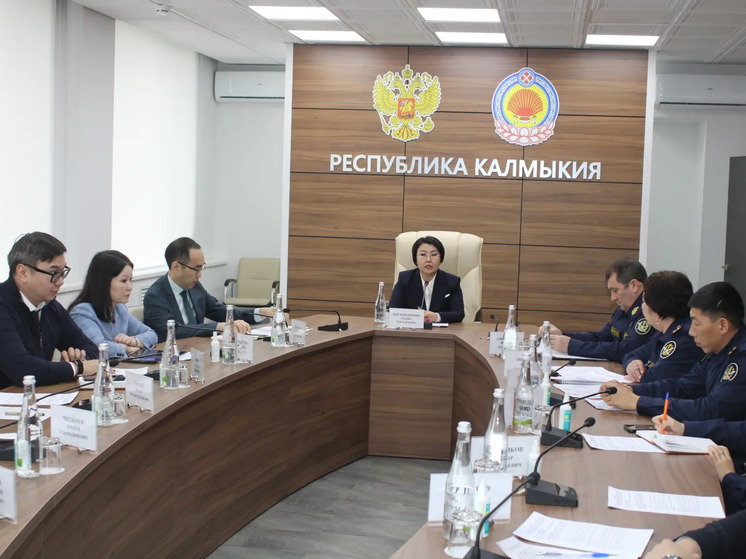 В исправительных учреждениях Калмыкии планируют развивать производство