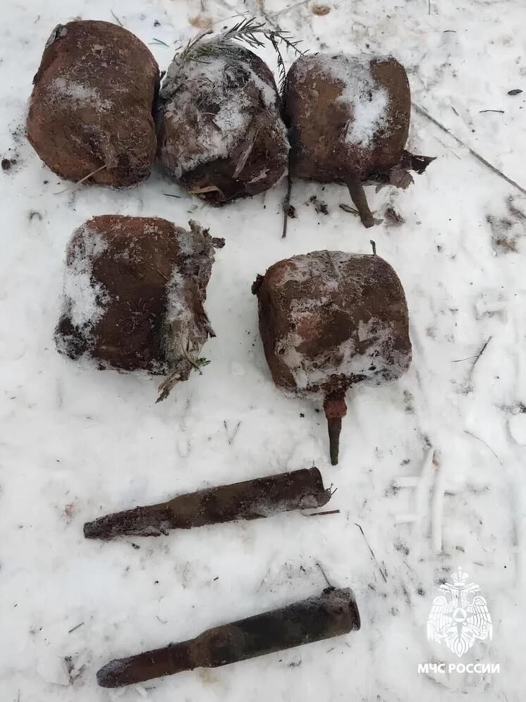 Взрывоопасное «эхо прошлого» обнаружили в Тверской области