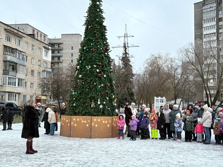 На калужском «Тайфуне» поставили ёлку с авторскими игрушками