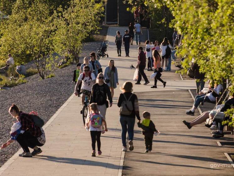 Молодежь выбирает Арктику: как Мурманская область стала точкой притяжения для карьерного роста