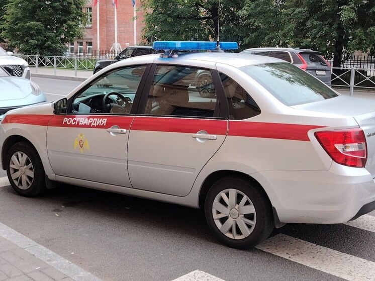 Петербургские школы предложили охранять Росгвардии