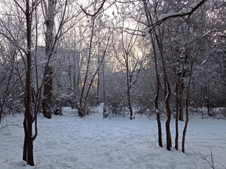 Сила магнитной бури 25 декабря составит 3 балла: благоприятное время для активной деятельности