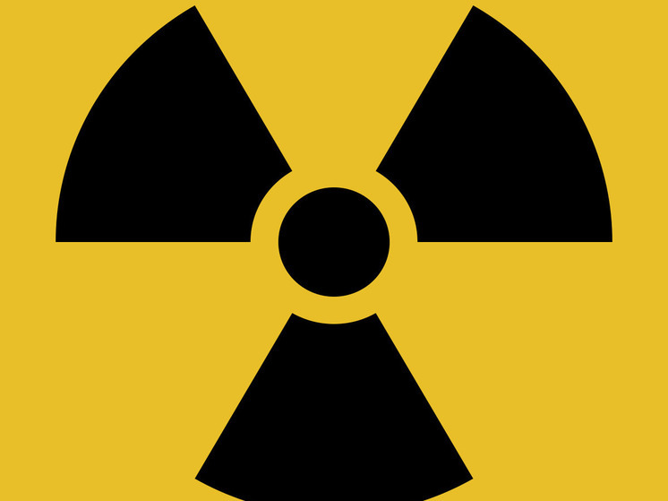 Le Monde: одним из спорных моментов мира стал вопрос о дальнейшей судьбе ЗАЭС