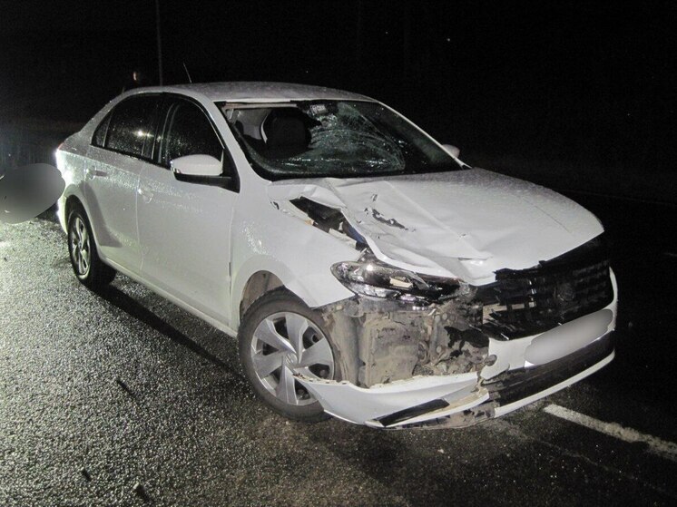 В Рыбинске услышал приговор водитель, насмерть сбивший пешехода