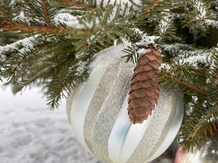 Синоптики уточнили прогноз погоды на Сахалине и Курилах на четверг, 25 декабря