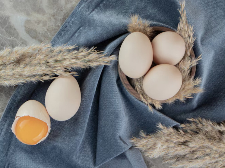 Красноярский край получил почти 140 тысяч инкубационных яиц из Узбекистана