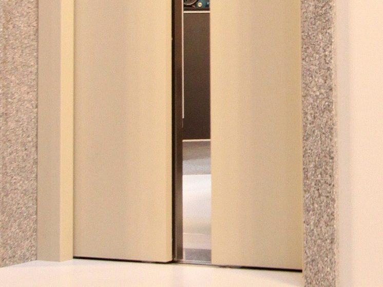 Собака погибла в результате несчастного случая в лифте