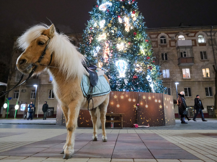 Волгоградцев предупредили о ночных заморозках до -22 градусов