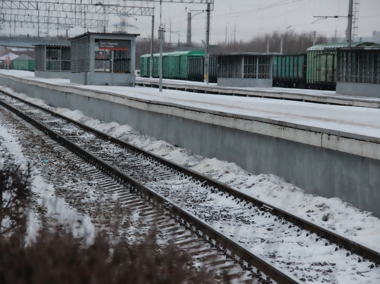 Жители Тулы смогут купить билеты на электричку в Москву через Яндекс Go