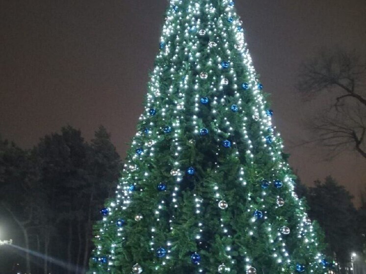 Воронежцам напомнили о графике «новогодних каникул»