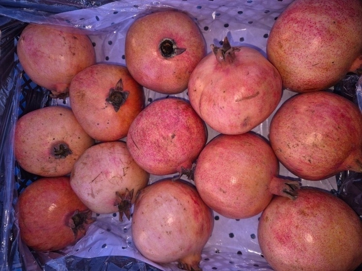 Почти 39 тонн гранатов из Узбекистана не пустили в Оренбуржье из-за опасного вредителя