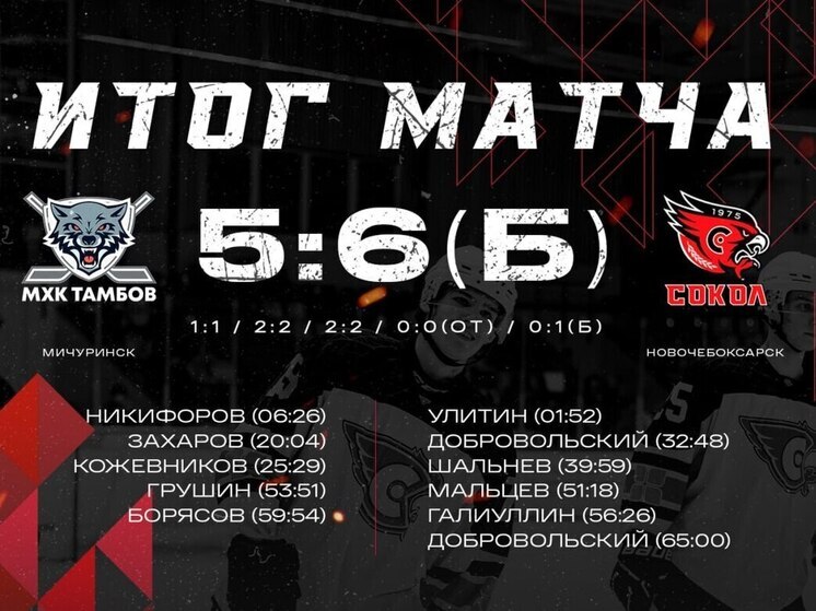 «Сокол» выиграл в Мичуринске матч НМХЛ