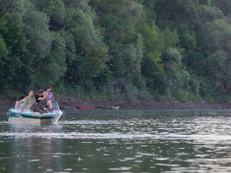 CNN: как минимум 29 украинских граждан погибли при попытке бегства в Румынию