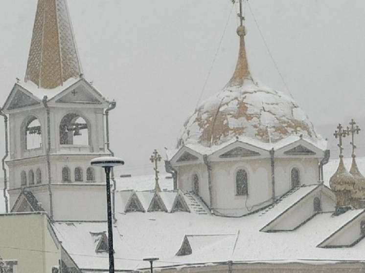 Священнослужители благословили борцов с БПЛА в Подмосковье