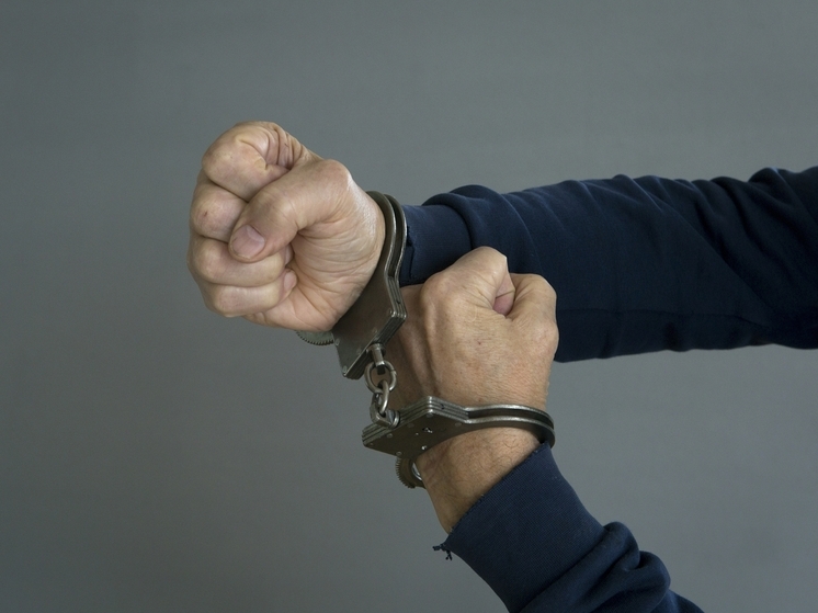 Посла Польши задержали в столице Франции по делу о сомнительных дипломах MBA