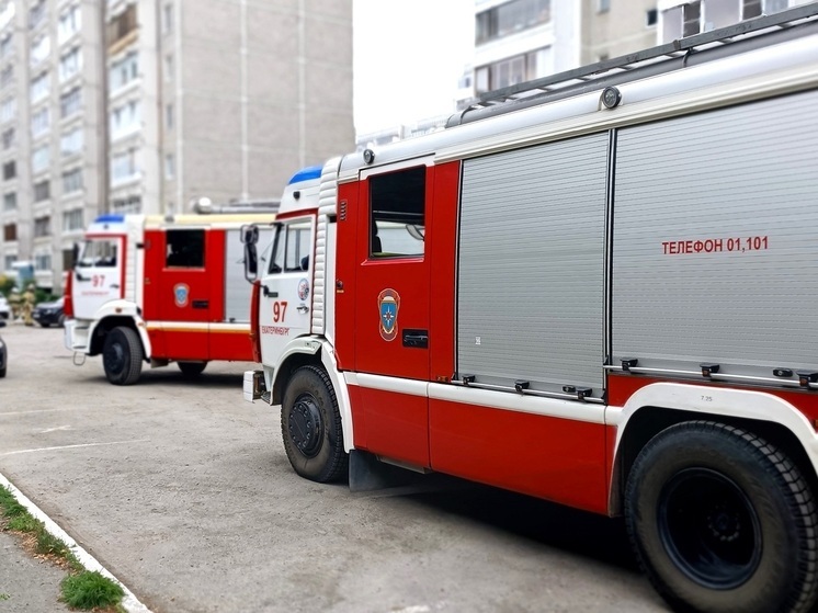 В Шадринске женщина пострадала при пожаре в пятиэтажке