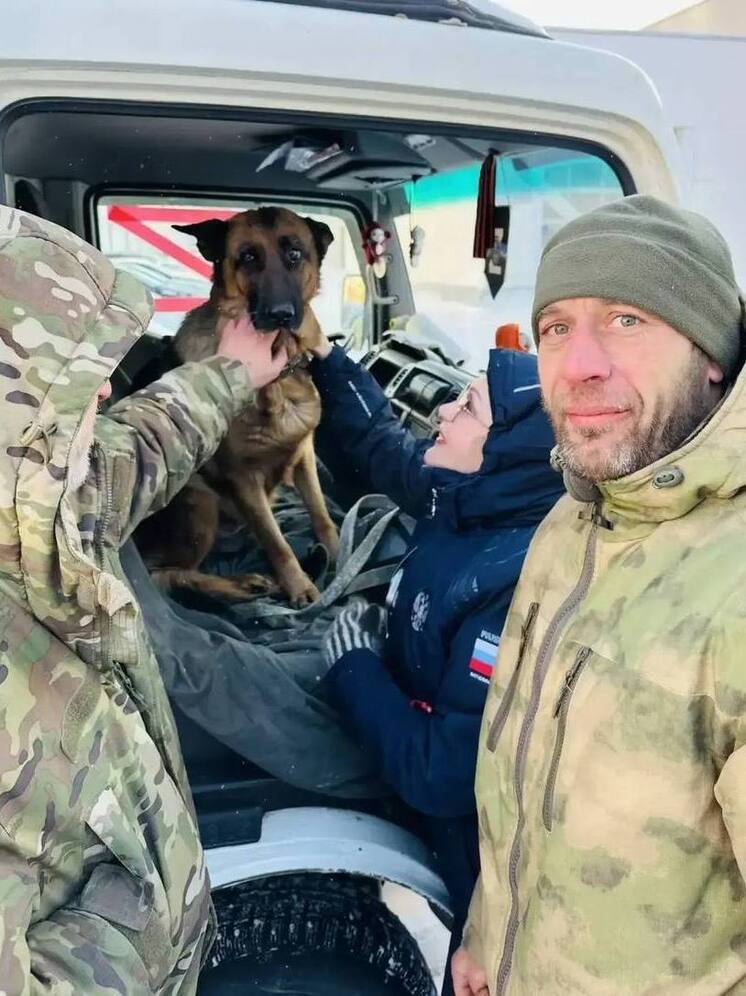 Боевая подруга едет домой: овчарка с передовой вернется к хозяину в Ноябрьск