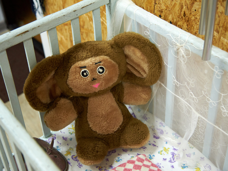 "Союзмультфильм" отсудил компенсацию у новосибирской предпринимательницы за нелицензионного Чебурашку