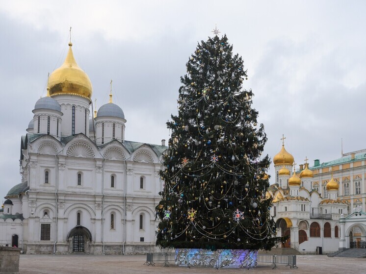 Вильфанд заявил, что ледяных дождей в Москве из-за наступающей оттепели не будет