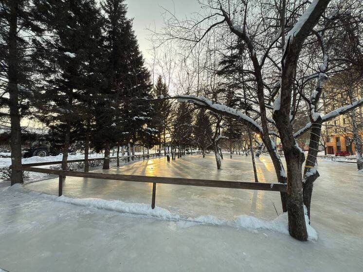 Стало известно, где в Бийске можно покататься на коньках