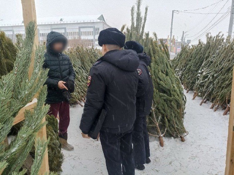 Курганская полиция выявила четыре нарушения при торговле новогодними елками