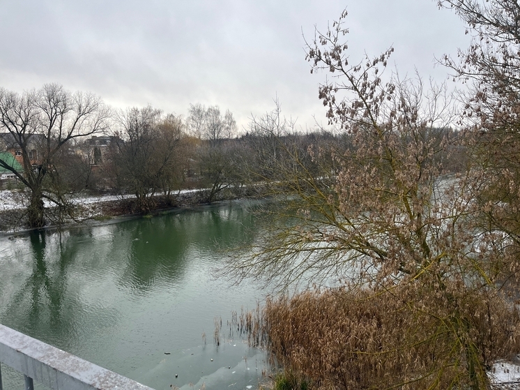 В Ливнах завод могут закрыть за сбросы отходов в реку