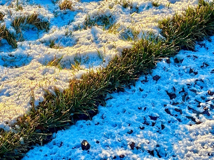 В Саратове 25 декабря прогнозируется потепление