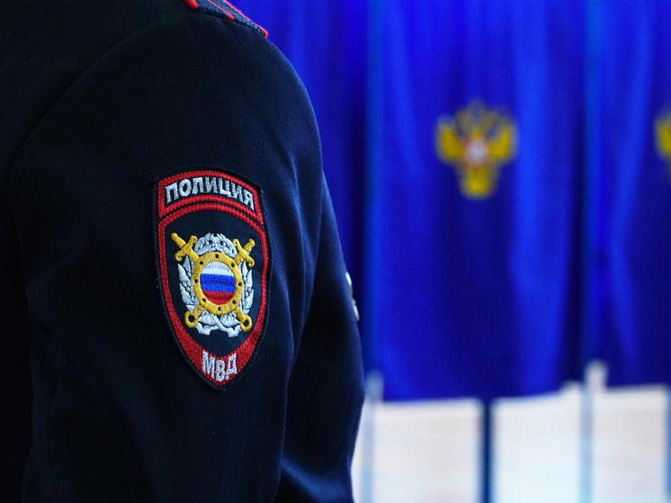 В Новосибирске изъяли 900 пачек контрафактного жевательного табака без акцизных марок