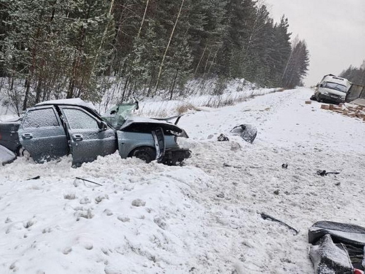 Виновника смертельного ДТП в Марий Эл заключили под стражу