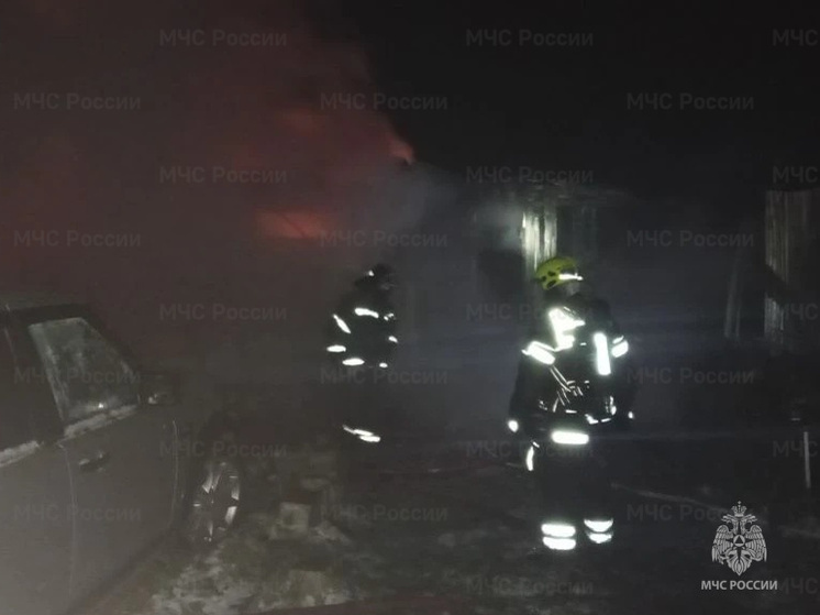 Тринадцать человек тушили жилой дом в жуковской деревне